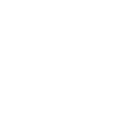 icon1