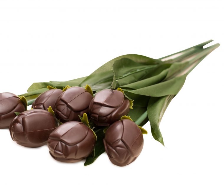 flores de chocolate